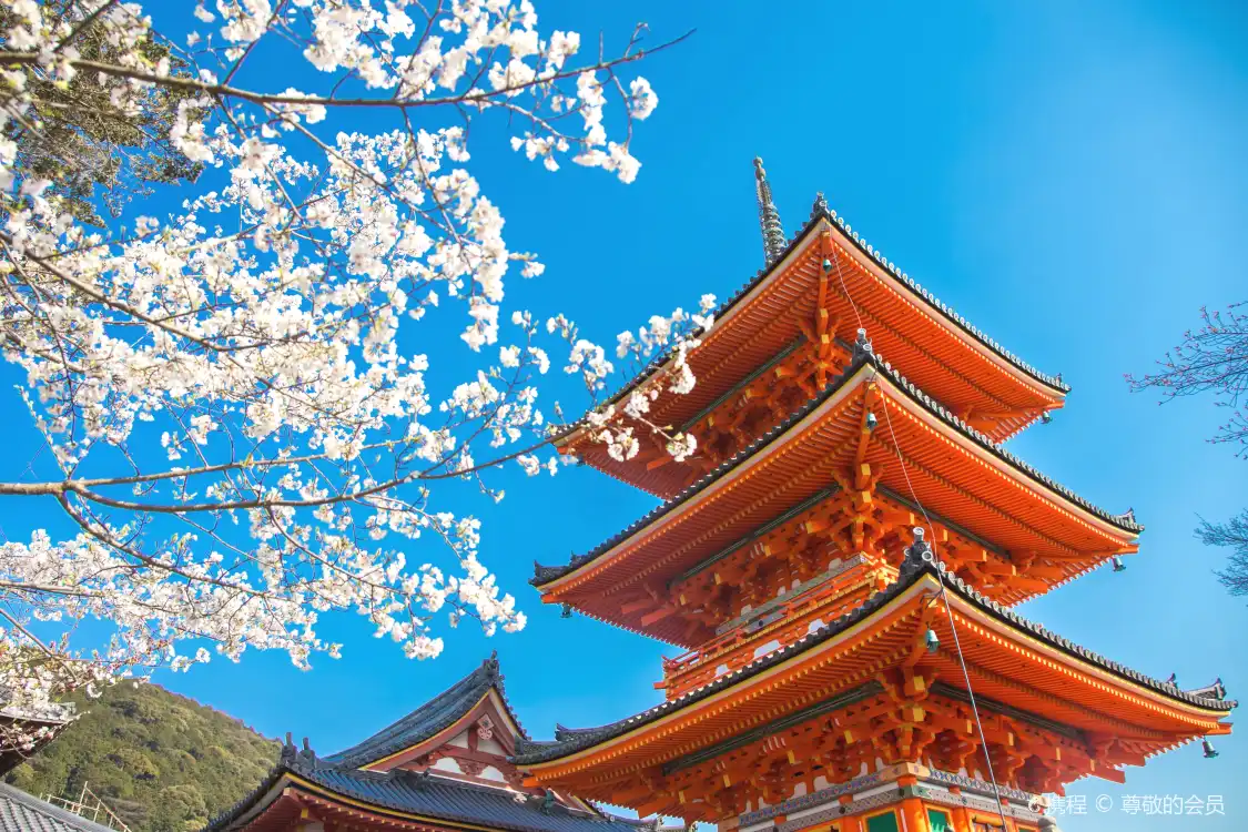 Hotels near Kiyomizu-dera Temple