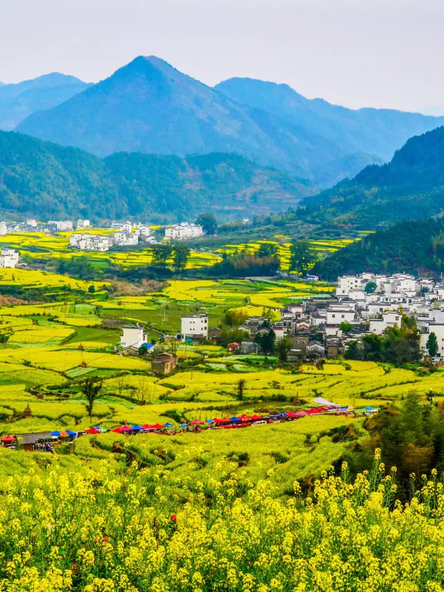 Terraced Fields Viewing in Shangrao