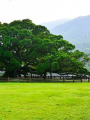 福州國家森林公園