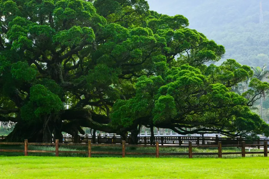 福州國家森林公園