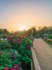 National Peony Park