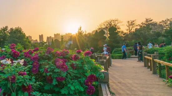 National Peony Park