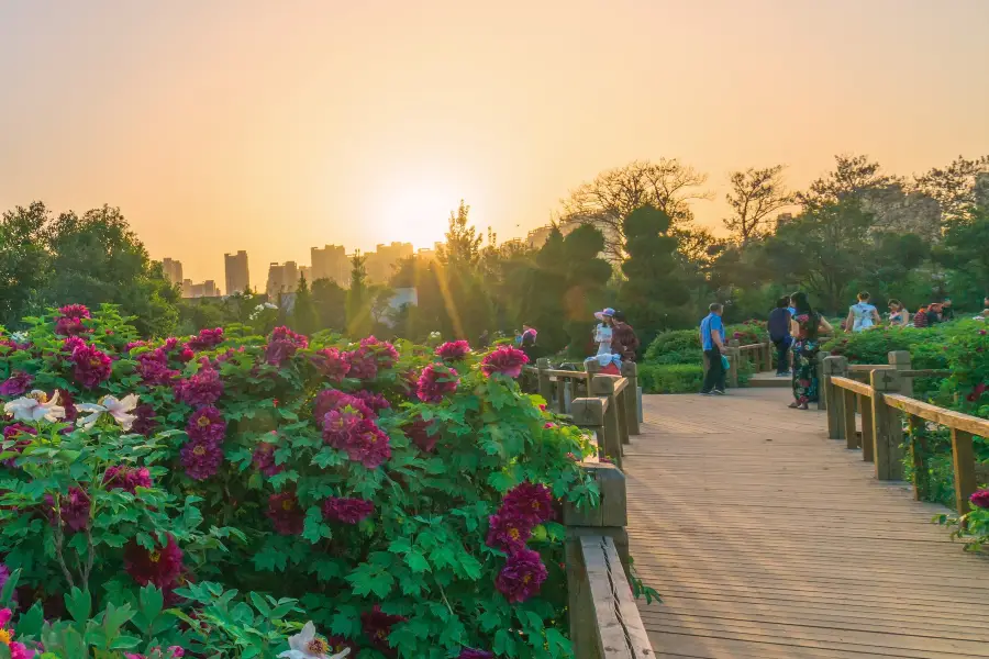 National Peony Park