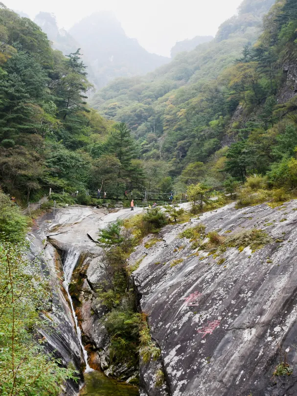5_朱雀國家森林公園