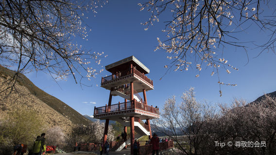 Gongbo'gyamda
