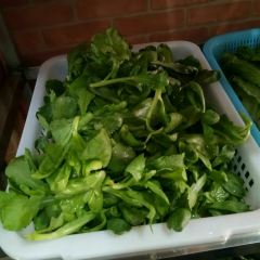 丁记火锅·酸汤牛肉 User Photo