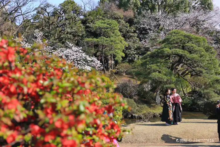 Hotels near Waseda University
