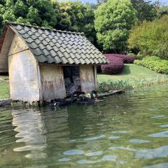 Chongqinghengdajiudian· Western Restaurant User Photo