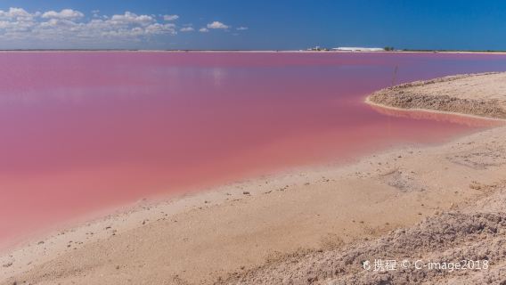 วางกระเป๋าสตางค์ไว้ที่บ้านแล้วออกไปสนุกกับทริปโรแมนติก!|ทัวร์ 1 วัน ทะเลสาบสีชมพู Las Colorados + Cenote