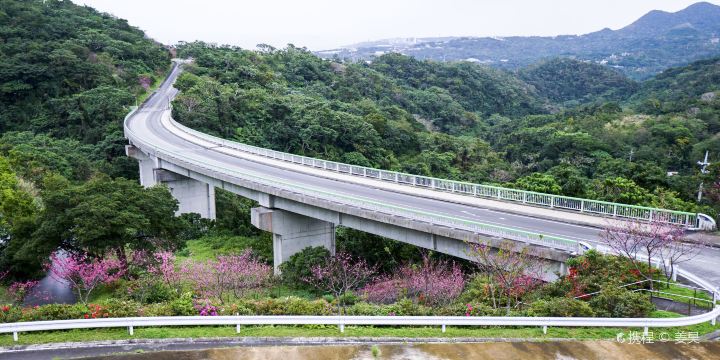 Yaedake Sakuranomori Park