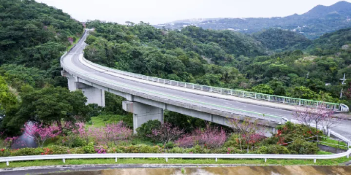 八重岳櫻之森公園