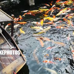 豬肉婆私房菜（容桂總店）張用戶圖片