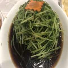 XIAO GUAN YUAN User Photo