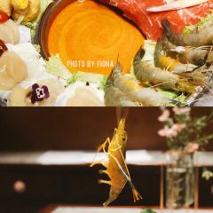 Queen·Cheuk Yuet User Photo