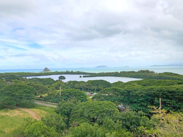 Mokolii