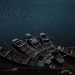 劉佬根農莊張用戶圖片