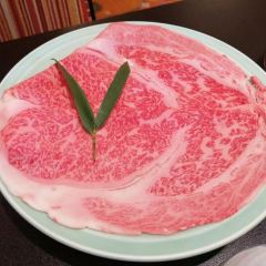 Ningyouchouimahan User Photo