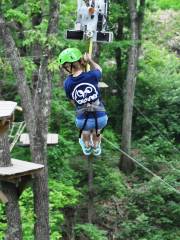 The Swamp Park- Zip Line and ATV Center