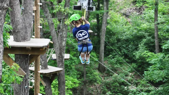 The Swamp Park- Zip Line and ATV Center