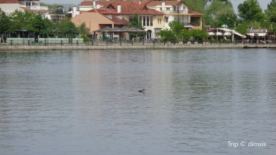 Ioannina Island