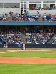 Toledo Mud Hens Baseball Club