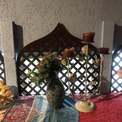 Safari 여행 사진