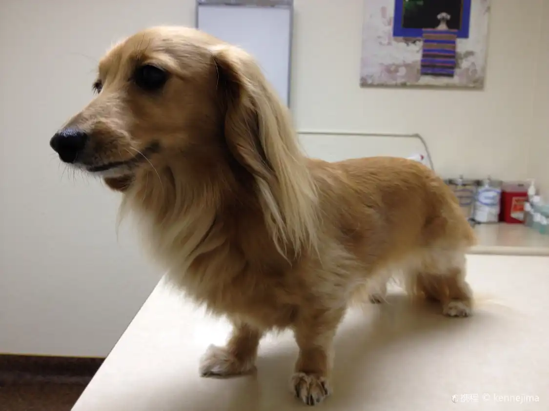 Hotels near Canal Road Animal Hospital