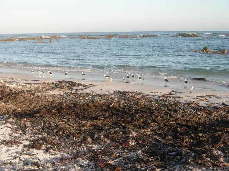 Các khách sạn ở Pearly Beach