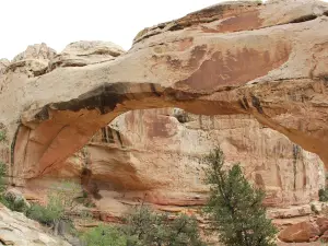 Hickman Natural Bridge