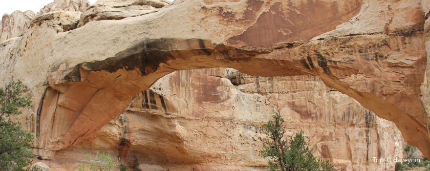 Hickman Natural Bridge