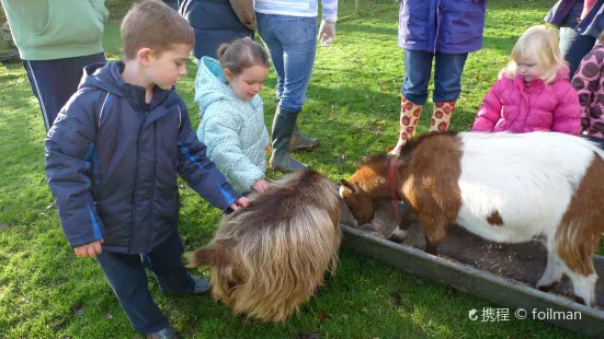 Wellybobs Farm Park