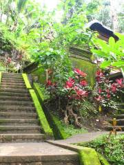 Elephant Cave Ubud