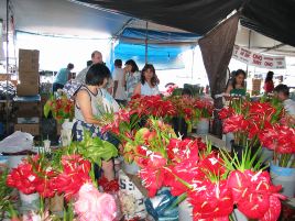 Hilo Farmers Market