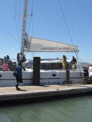 Adventure Cat Sailing Charters