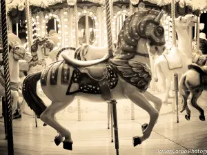 Flying Horses Carousel a Vineyard Preservation Trust Property