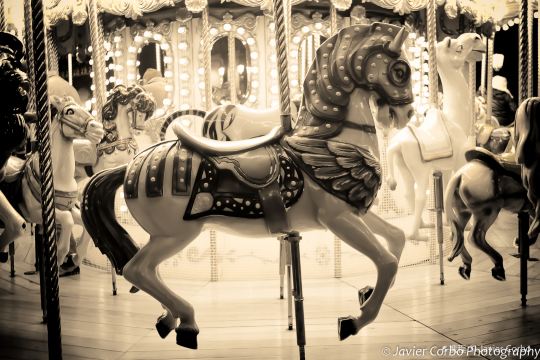 Flying Horses Carousel a Vineyard Preservation Trust Property