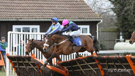 Plumpton Racecourse Ltd
