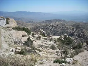 Mt Lemmon