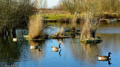 Filey Dams Nature Reserve