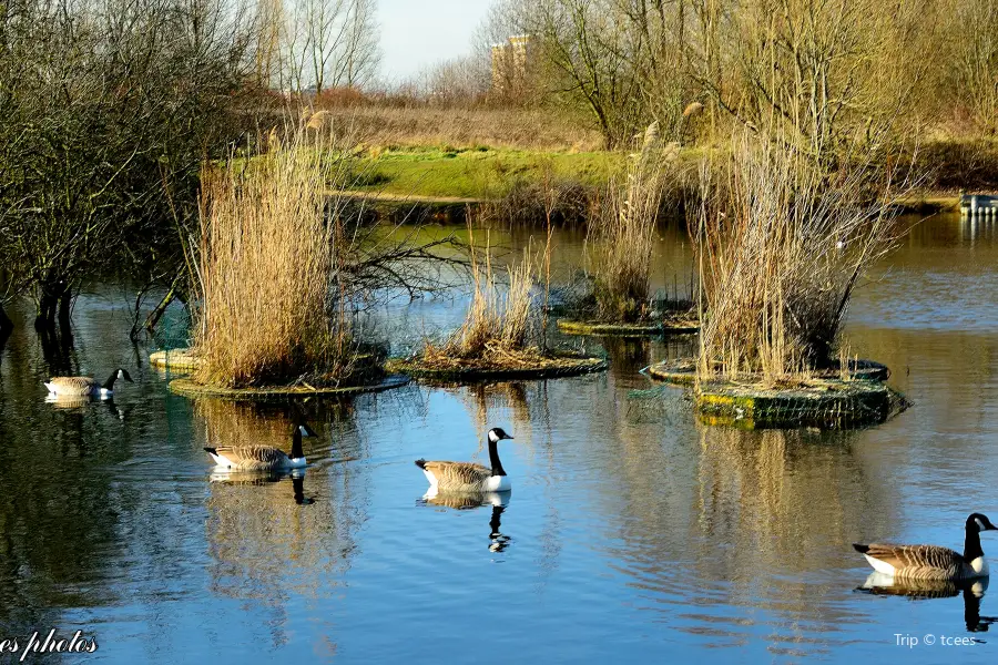 Filey Dams Nature Reserve