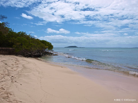 Seven Seas Beach