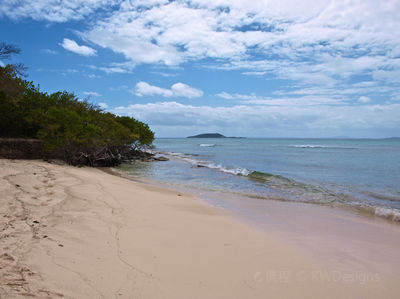 Seven Seas Beach