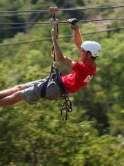 Mystic River Outdoor Adventures Zip Line