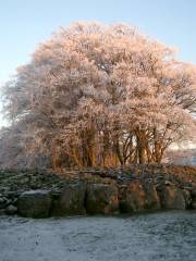 Clava Cairns