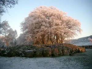 Clava Cairns