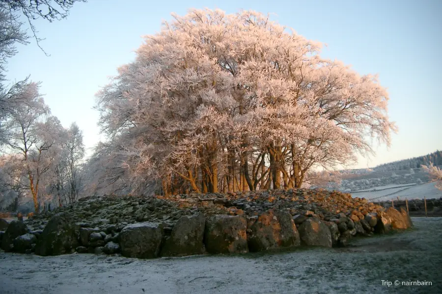 Clava Cairns