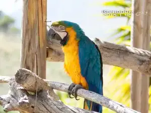 Terra Natura Benidorm