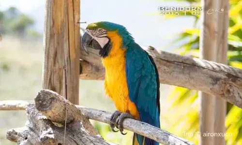 Terra Natura Benidorm