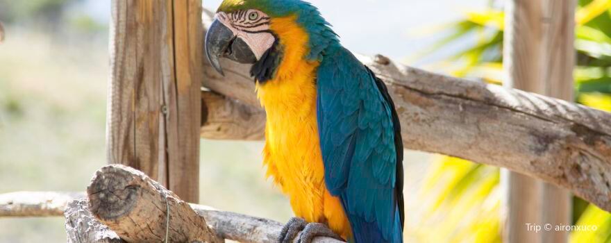 Terra Natura Benidorm