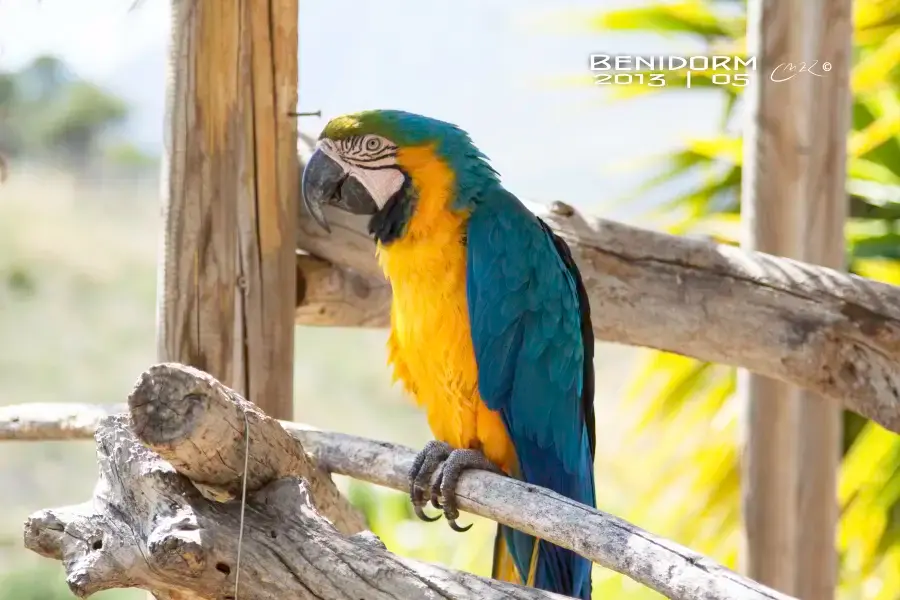 Terra Natura Benidorm